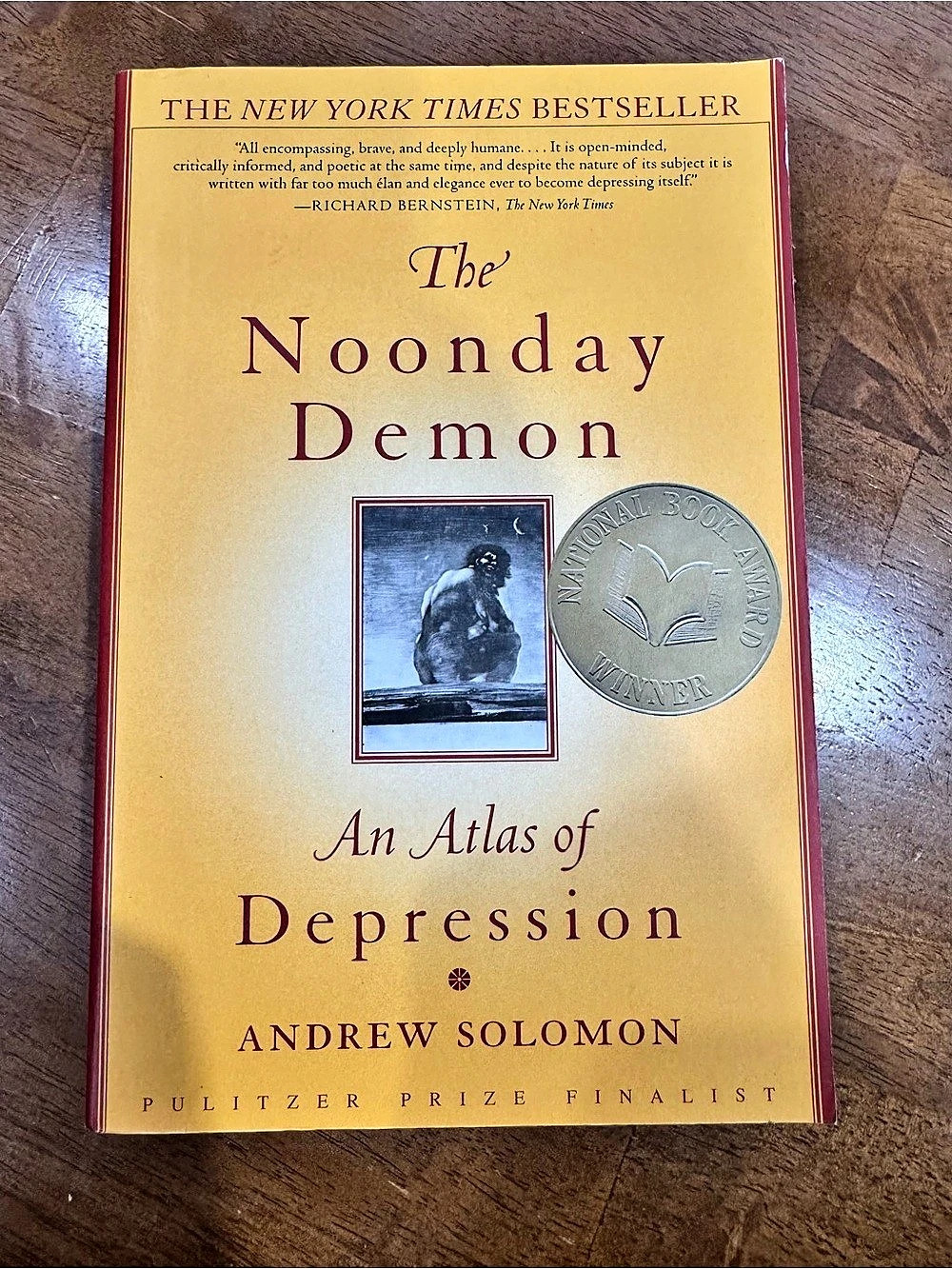 Scribner The Noonday Demon: An Atlas of Depression Hardcover Book Andrew Solomon